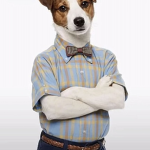 Bar eye gang