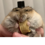 Hampter mafia