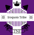 The Iroquois Tribes