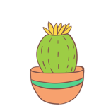 CACTUS LOVE