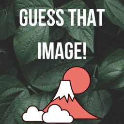 Guess That Picture! [Japanese Edition]