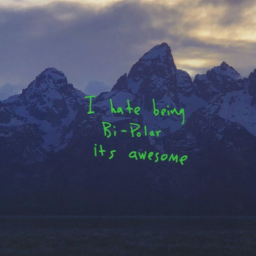 I Hate Being Bipolar, It's Awesome