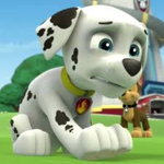 Paw patrol marshall