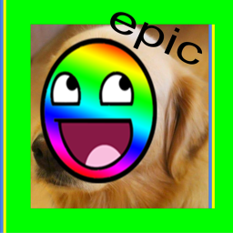 Be an EPIC dog thing.