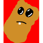 Boring Experices