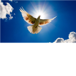 FlyWay Runway
