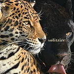 Solitzire