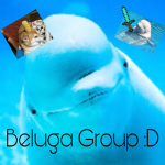 Beluga group