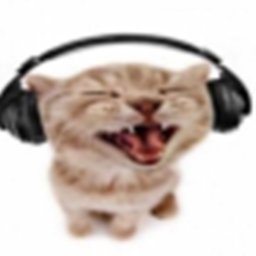take a photo with rapper cat icon