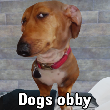 NUEVA ACTUALIZACIÓN! Obby de perros! 🐶🦮🐕🐩🐕‍🦺