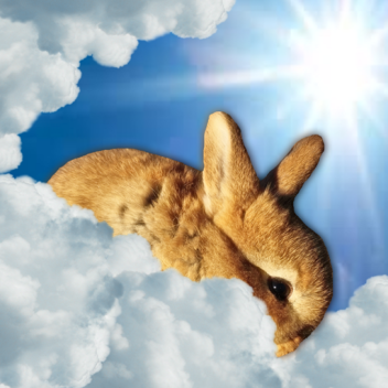 Little Joe's Funeral