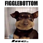 Figglebottom inc.