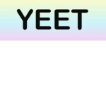 The YEET Group!!!!