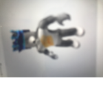 Gabe rat team