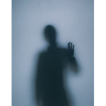 The Shadow Figures