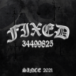 Fixed 火