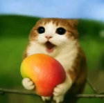 Pequeño M