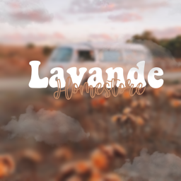 Lavandè
