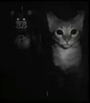 cat_industries