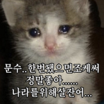 뚕띠 입니당.