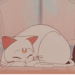 +Neko Kingdoms+