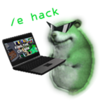 Hacker Chomik