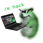 Hacker Chomik