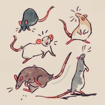 Rat_WOWZERS!!!!!
