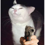 criminality cats