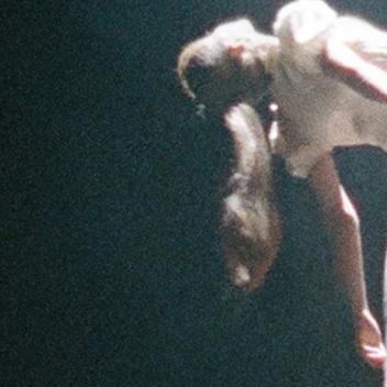 ⋆ ˚｡⋆୨୧˚ ⋆ ˚｡⋆