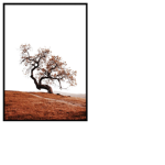 Designer Hill