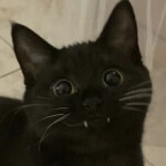 ☆