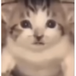 Cult of the meme god