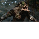Predator Projects