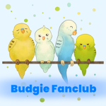 Budgie Fanclub