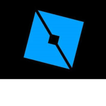 Development program
