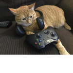 The Evil Insane Gamers