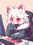 the FI command