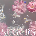 ʚ sugcrs ɞ