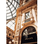 Daisy_985728