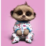 koalaGirlsSquad