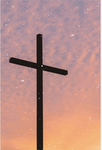 Church and Bible study