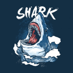 Sharks clothing Store
