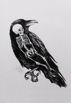 Cr0w's Creature's