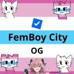 FemBoy City OG (FREE ADMIN)