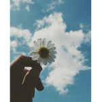 ~ h o n e y b u n ~