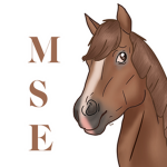 ~ M S E ~ Maple Springs Eventing Group Thumbnail
