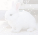 - えんじぇる -
