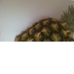 !TROPICAL FRUIT SQUAD!