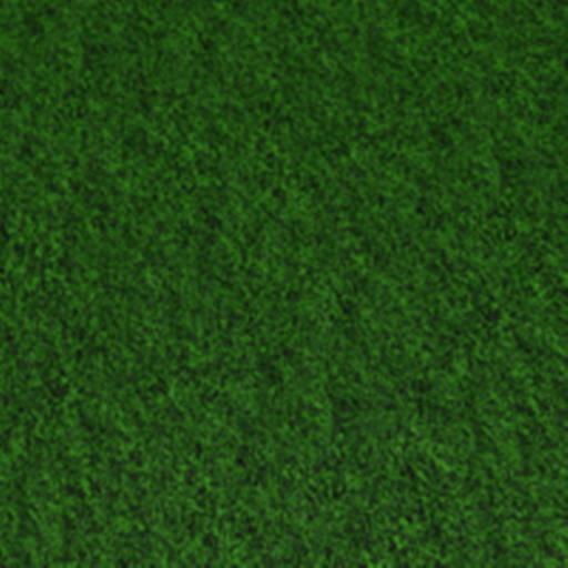  Grass 